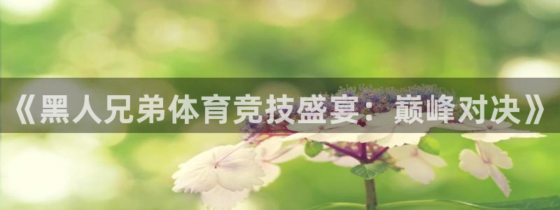 24直播吧 看球吧