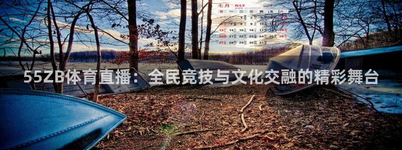 24足球直播网24直播吧