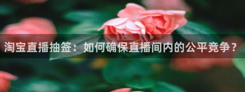24直播免费足球直播：淘宝直播抽签：如何确保直播间内的公平竞争？