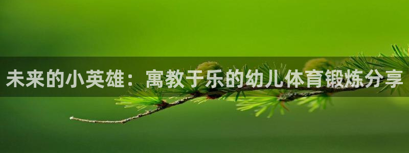 24直播网体育在线观看：未来的小英雄：寓教于乐的幼儿体育锻炼分享