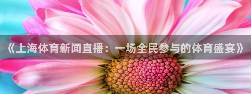 24直播网体育在线直播nba