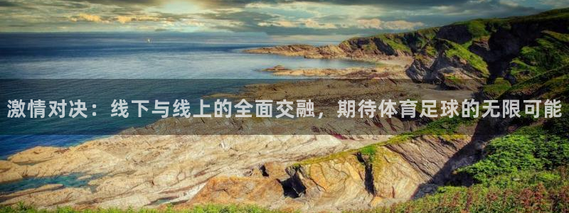 24直播网篮球