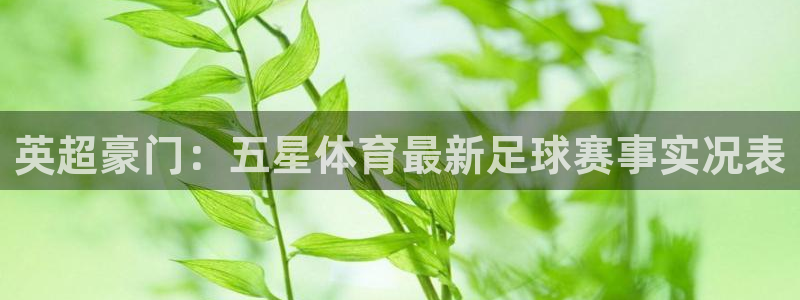 体育直播24直播网：英超豪门：五星体育最新足球赛事实况表