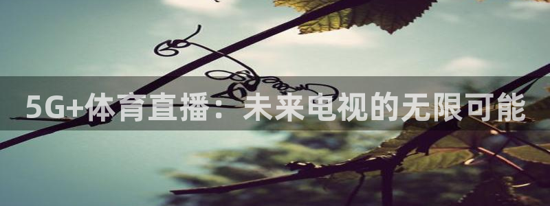 24直播网app下载：5G+体育直播：未来电视的无限可能
