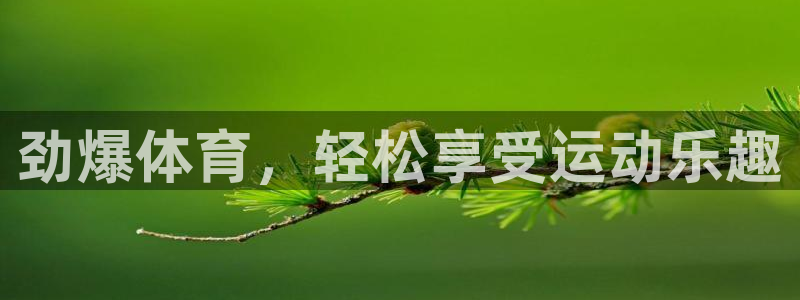 24直播网体育下载：劲爆体育，轻松享受运动乐趣